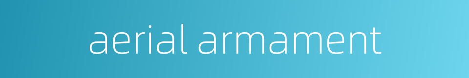 aerial armament的同义词