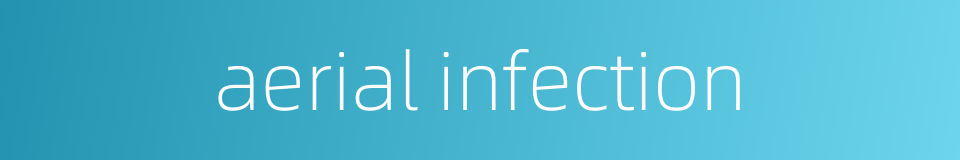aerial infection的同义词