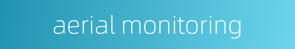 aerial monitoring的同义词