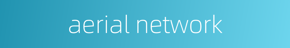 aerial network的同义词