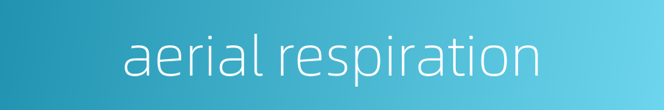 aerial respiration的同义词