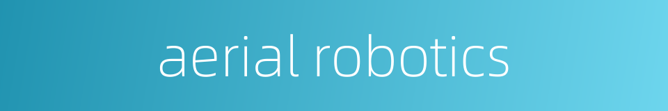 aerial robotics的同义词