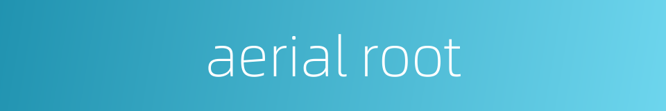 aerial root的同义词