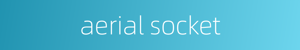 aerial socket的同义词