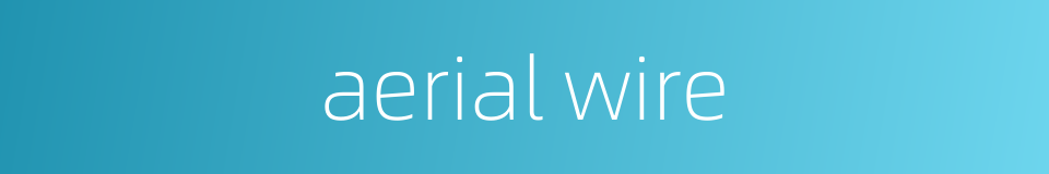 aerial wire的同义词