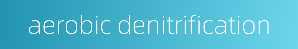 aerobic denitrification的同义词