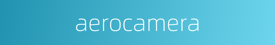 aerocamera的同义词