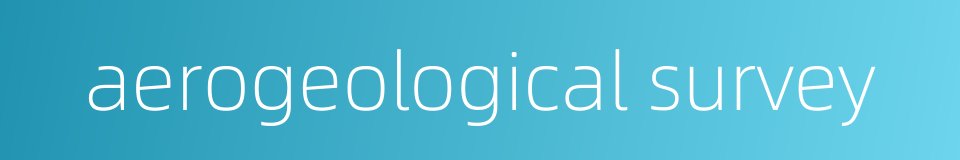 aerogeological survey的同义词