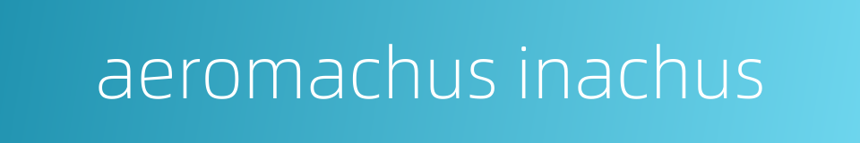 aeromachus inachus的同义词