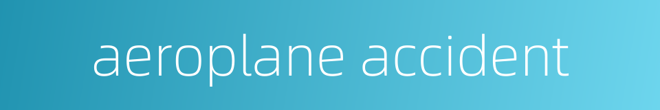 aeroplane accident的同义词