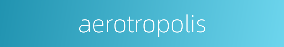 aerotropolis的同义词
