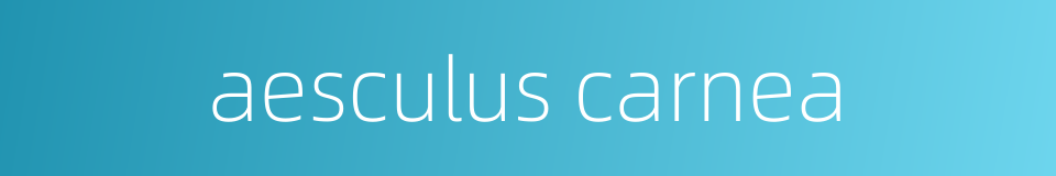 aesculus carnea的同义词