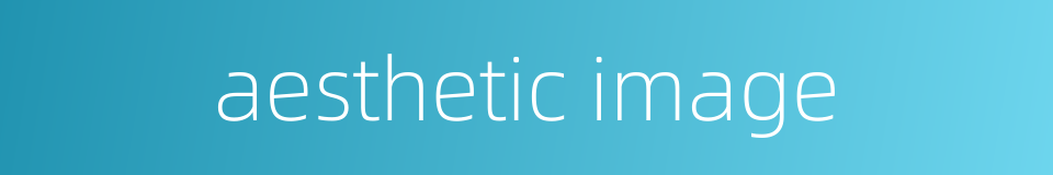 aesthetic image的同义词