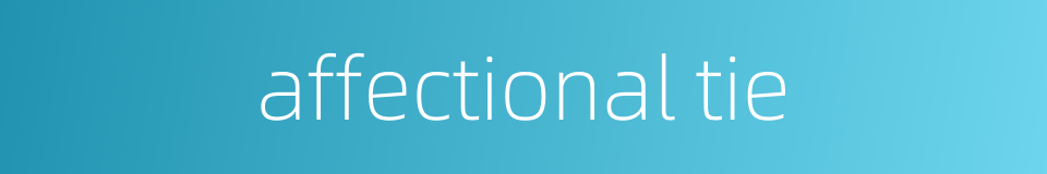 affectional tie的同义词