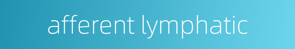 afferent lymphatic的同义词