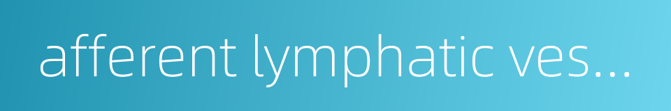 afferent lymphatic vessel的同义词