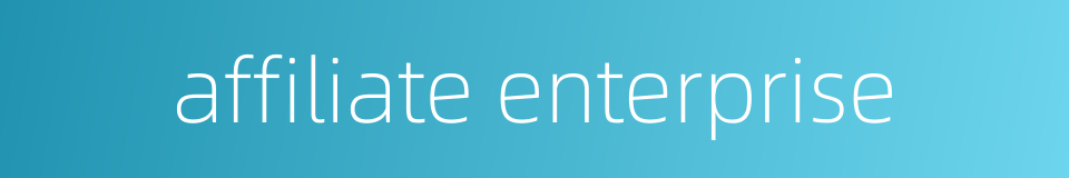 affiliate enterprise的同义词