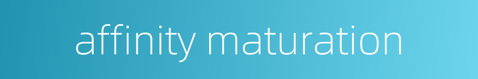 affinity maturation的同义词