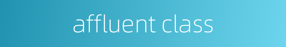 affluent class的同义词