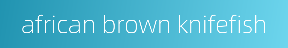 african brown knifefish的同义词