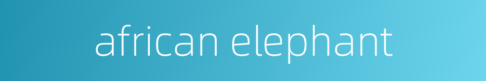 african elephant的同义词
