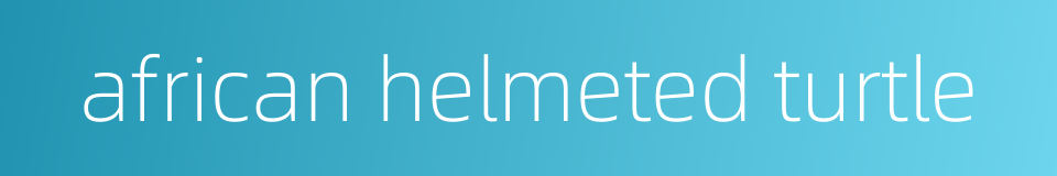 african helmeted turtle的同义词