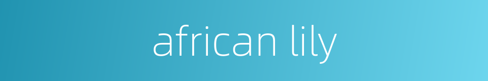 african lily的同义词