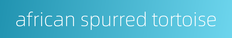 african spurred tortoise的同义词