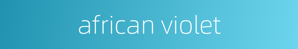 african violet的同义词
