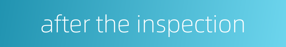 after the inspection的同义词