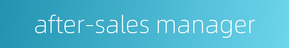 after-sales manager的同义词