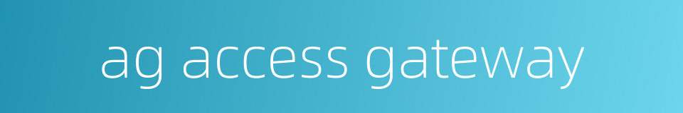 ag access gateway的同义词