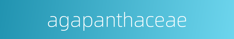 agapanthaceae的同义词
