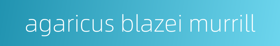 agaricus blazei murrill的同义词
