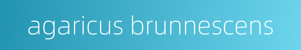 agaricus brunnescens的同义词