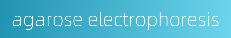 agarose electrophoresis的同义词