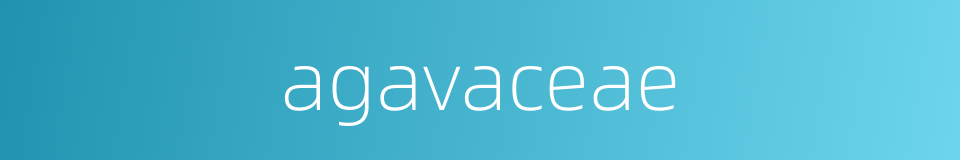 agavaceae的同义词