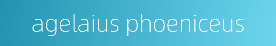 agelaius phoeniceus的同义词
