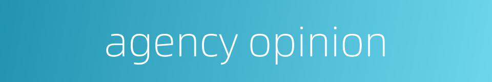 agency opinion的同义词