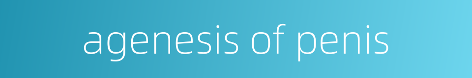 agenesis of penis的同义词