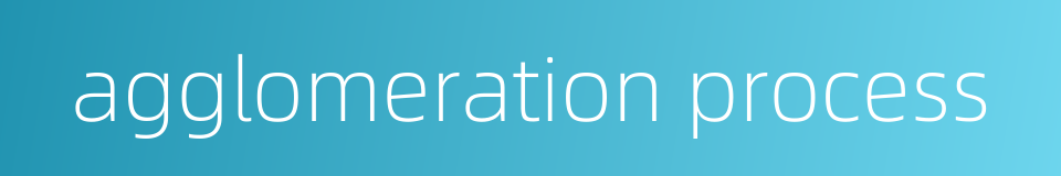 agglomeration process的同义词