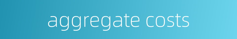 aggregate costs的同义词