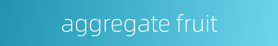 aggregate fruit的同义词