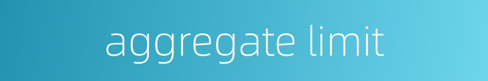 aggregate limit的同义词