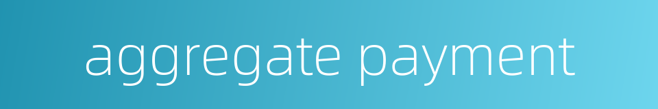 aggregate payment的同义词