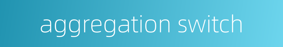 aggregation switch的同义词