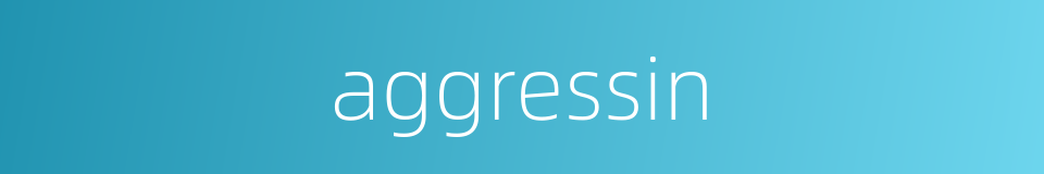 aggressin的同义词
