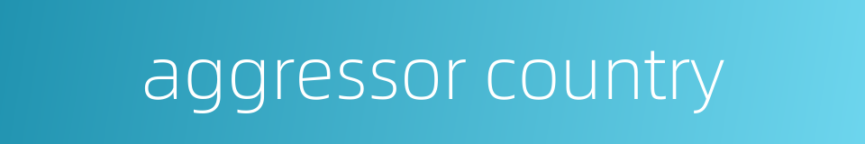 aggressor country的同义词