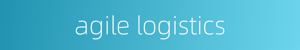 agile logistics的同义词
