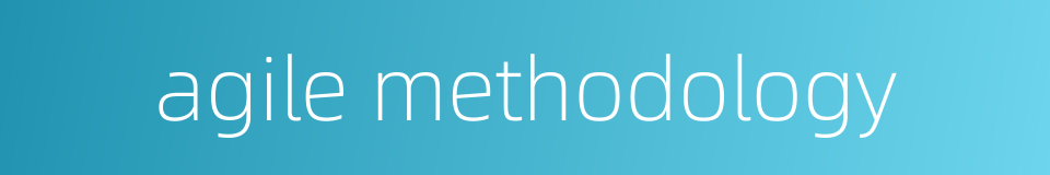 agile methodology的同义词